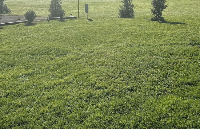 Log Cabin in the Field - Foto 32