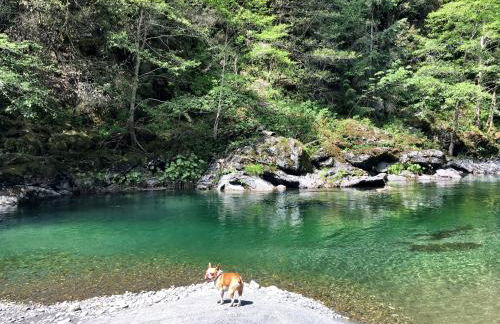 Rock Rose Cottage - Foto 33