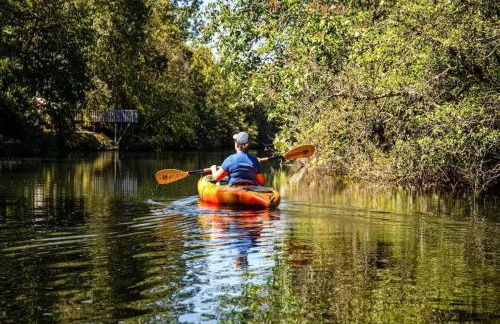 River Cabin - Fire Pit, Kayaks, Games, Dog Park - Foto 1