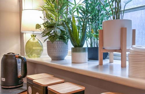 The Old Surgery - Foto 46