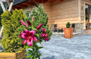 Żabie Dworki Witów Luxury Chalets & SPA - Foto 18