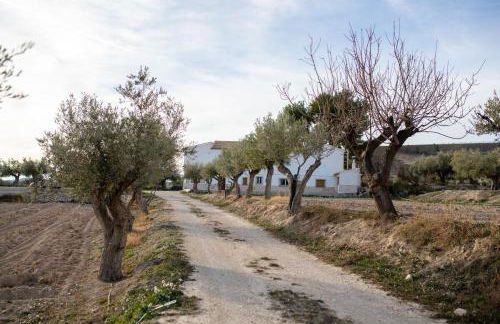 Cortijo Rural Ananda - Foto 19