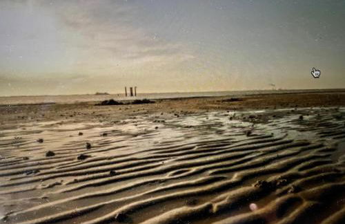 Seestern am Naturstrand - Foto 17