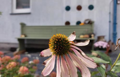 Ferienwohnung Auszeit Osterode - Foto 33