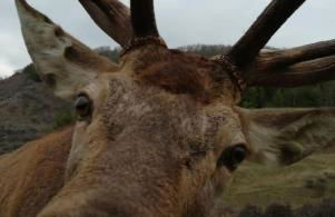 Casa Vacanze Margherita - Sasso di Castalda - Foto 28