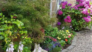 Westwood Cottage - Foto 3, Garden view