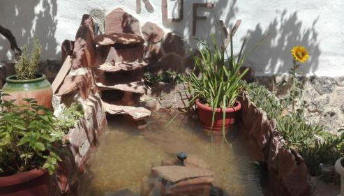 Luz de Carboneras - Foto 5, Garden