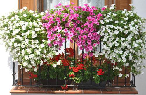 Apartamentos La Buhardilla - Photo 26