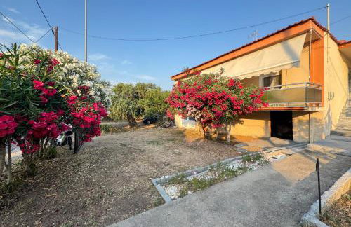 Alex house Thassos - Foto 28