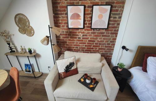 Les Briques Rouges, Appartement Béthune - Foto 12