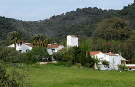 Las Navezuelas - Photo 19