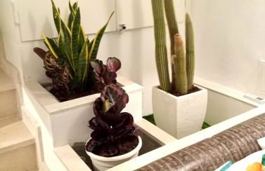 Lyon Vischi - Foto 10