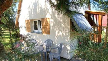 Skała i Las - Foto 3