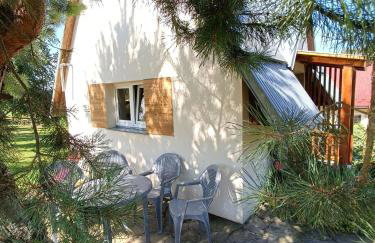 Skała i Las - Foto 3