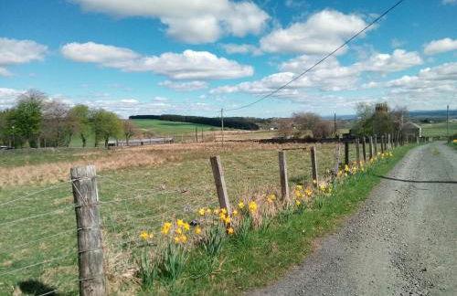 Buckieburn - self-catering - rural - Foto 19