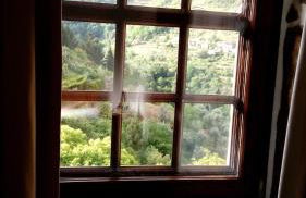 Casa Carolina - Foto 74