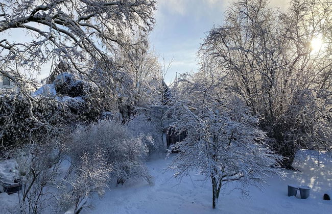 House Situated Peacefully on a Vast Green - Foto 33