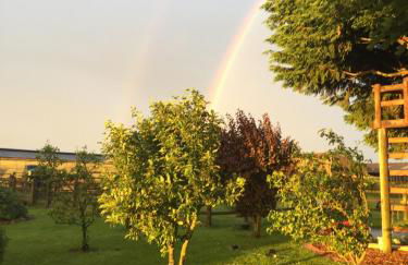 Rew Farm Country & Equestrian Accommodation - Sunrise Lodge - Foto 57