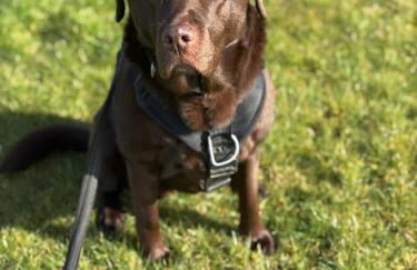 Lakeside retreat - Lodge 2F caer beris holiday park - no commercial vehicles allowed on site - Foto 6