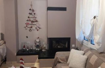 Alex House - Foto 14