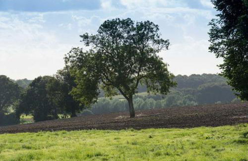 The Stables, relax in 5 star style and comfort with lovely walks all around - Foto 32