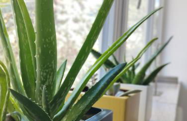 A casa di Twiggy - Foto 31