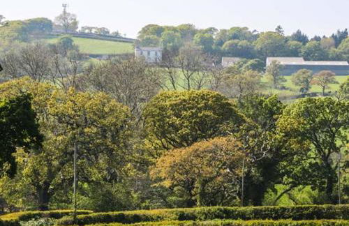 Cornel Clyd - Photo 10