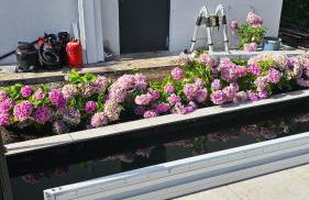 Luxurious large home with Pool, Garden, Koi Pond only 12 min to Octoberfest - Foto 38