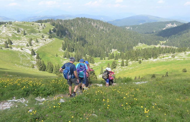 Apartment in Valbelluna Near Dolomites - Foto 39