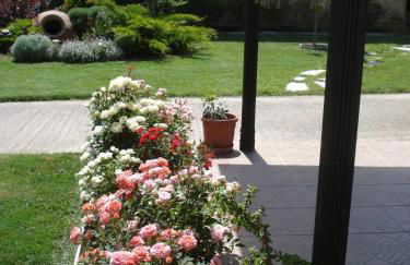 Repanidi Apartment D / Ρεπανίδι Διαμέρισμα Δ - Foto 45