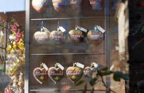 ROOTS BAMBERG - Central, Unique and Cozy - Photo 19