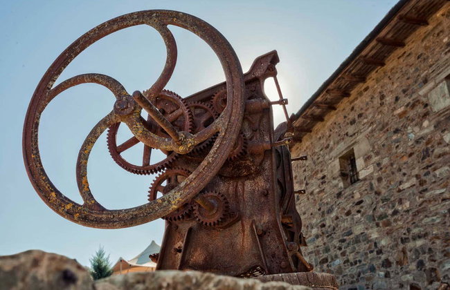 Visita a Viñedos y Bodegas Pittacum - Foto 6