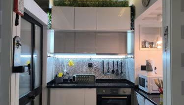 Aromas do Vouga - Foto 5, stove, dishwasher, toaster