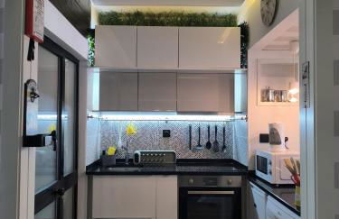 Aromas do Vouga - Foto 5