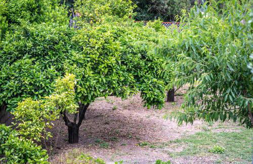 Case Vacanze Il Marchetto - Foto 24