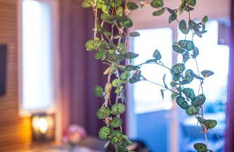 Superbe appartement - Terrasse-clim-2 chambres - Foto 23