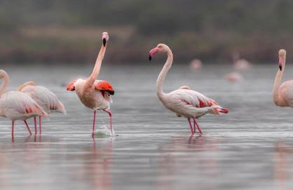 Holidays Apartment - Foto 24