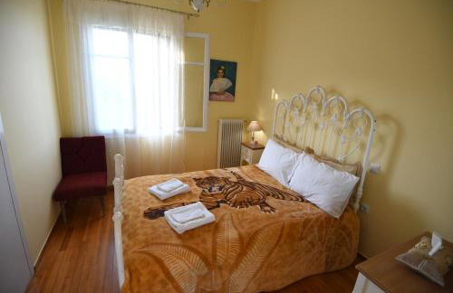 Art Flowers and Culture - Foto 33