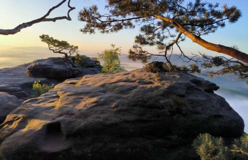 Ferienwohnung zum Sebnitzer Hirsch - Photo 25