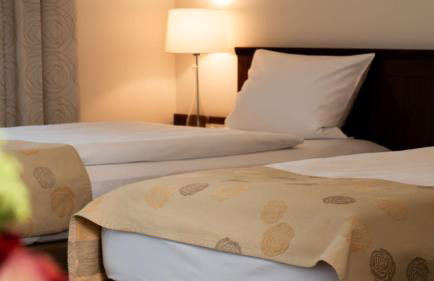 Hotel Rosenpark - Foto 52