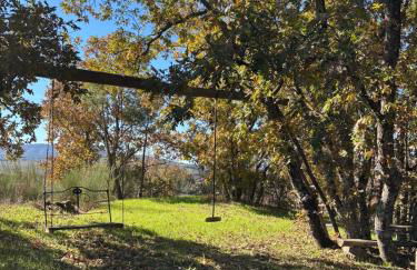 Casa Cabeço do Barragão - Photo 29