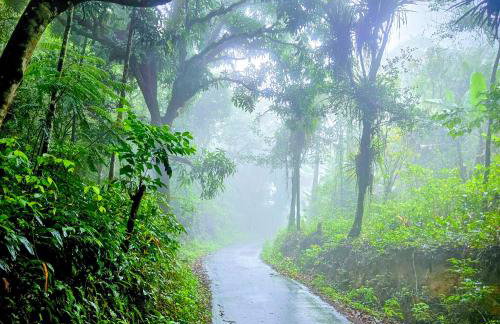 Sítio Maranatá, a mais bela vista do Pacoti! 20min de Guaramiranga! - Foto 4