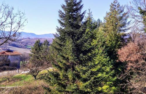 Zenios Dionysos - Traditional villa - Foto 79