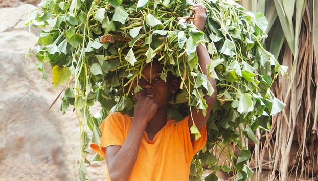 Meeting the local residents