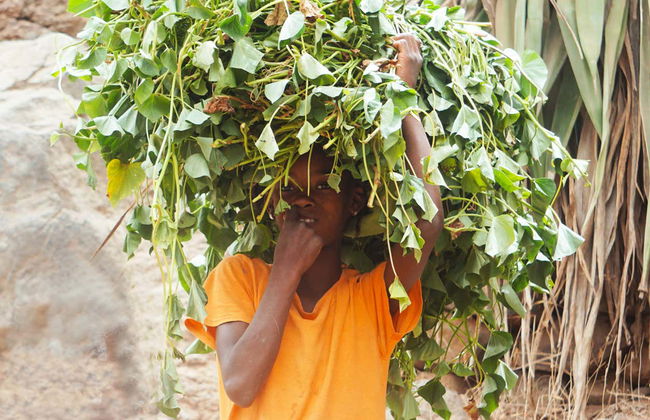 Corda, Coculi & Figueiral de Cima Excursion - Photo 4