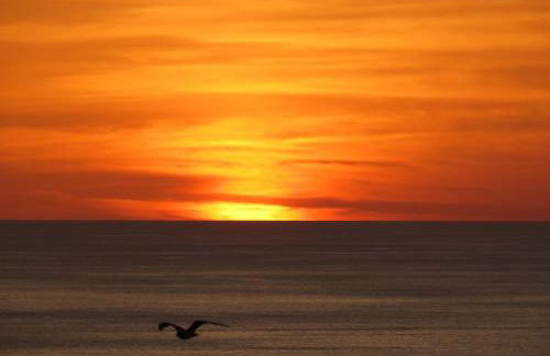 Casa Bela Vista - Foto 34