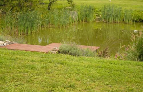 Willa pod Lipami - Photo 37