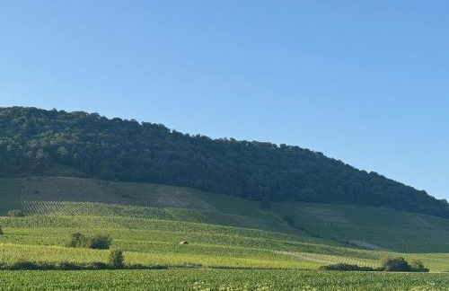 Panorama 180 - Foto 74