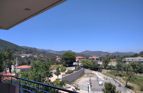 The Beekeeper's Apartment - Foto 11