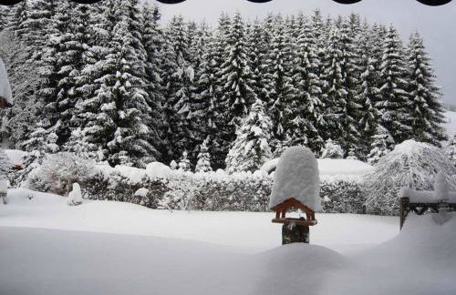 Ferienwohnung Haus Edelweiss - Foto 25